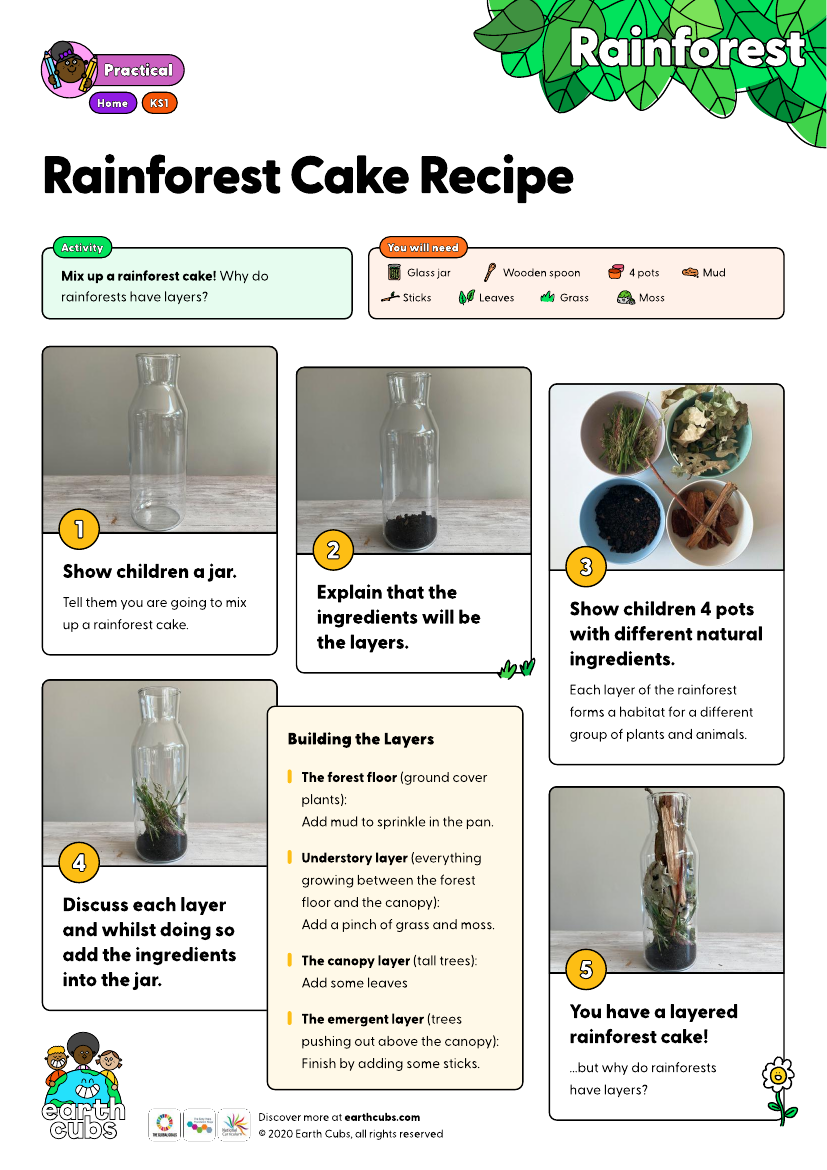 Rainforest Cake Recipe