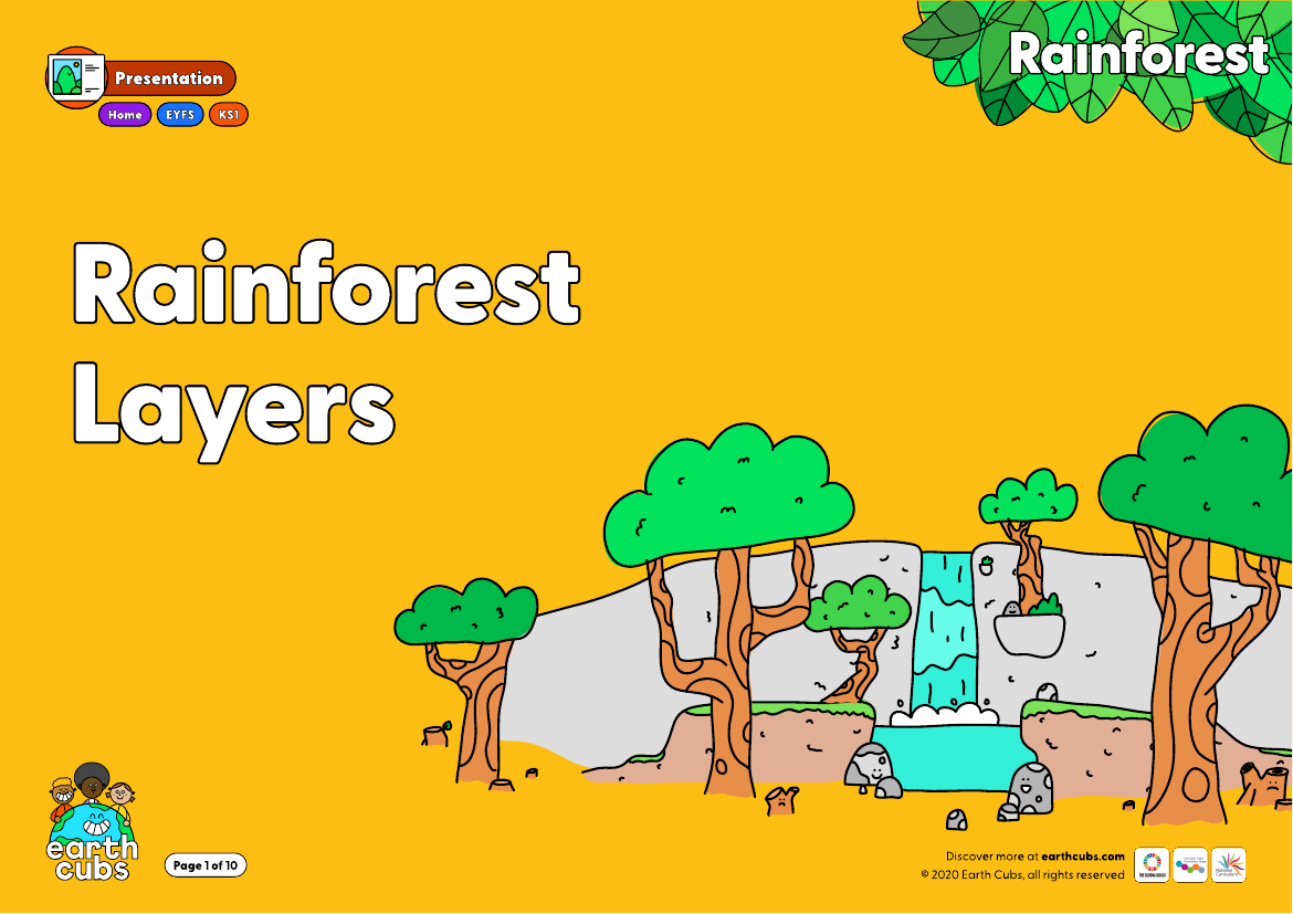 Rainforest Layers Presentation
